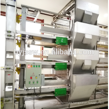 Automatic Chicken Feeding Equipment For Sale